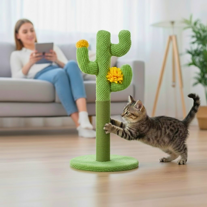 CactoClimb™ 3-in-1 Scratcher Set